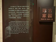 -金沙遗址博物馆