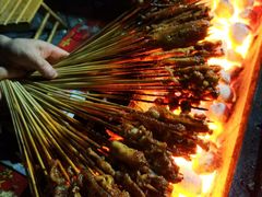 -老字号胡烤肉(三十年老店)