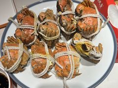 -杨氏青龙虾·羊蝎子(托乐嘉店)