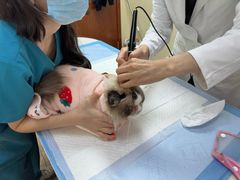 -美联众合动物医院·24h转诊中心