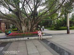 -北湖公园