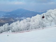 -中旅松花湖滑雪场