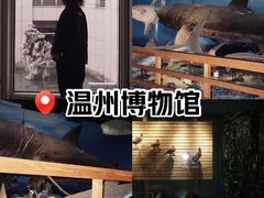 -温州博物馆