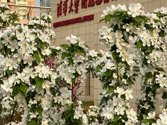 -北京市垂杨柳医院