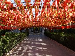 -大槐树寻根祭祖园