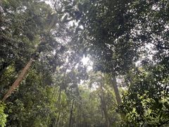 -凤栖山