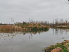 -呈贡滇池生态湿地公园