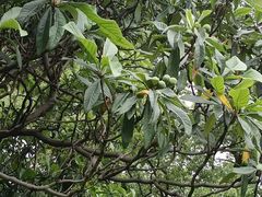 -宁波茶文化博物院