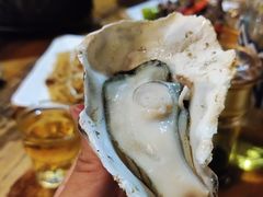-土蚝·高压锅生蚝(百姓美食街店)