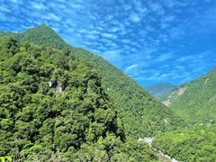 -黑河国家森林公园