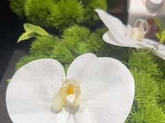 -鑫复盛礼记酒店·国家白金五钻酒家