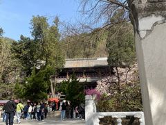 -潭柘寺景区