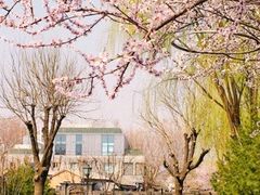 -三里河公园