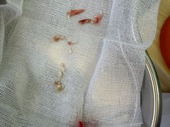 -达爱动物医院·犬猫分区·CT·复杂眼科(远洋山水分院)