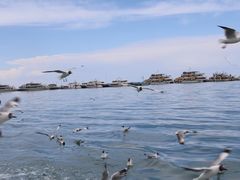 -青海湖国家重点风景名胜区