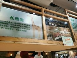 点击看大图 -鲁比猴非洲探索部落(喜盈门店)