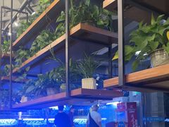 -淘米捞·米汤脆鲩鱼火锅(福田皇岗店)