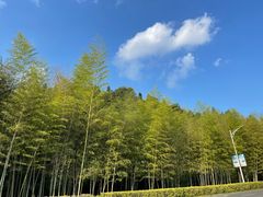 -明月山天沐温泉度假村