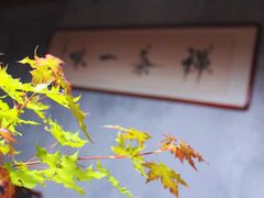 -瑞辰茶空间·商务·掼蛋·活动 (团结湖店)