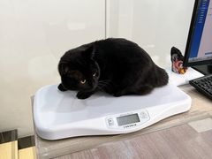 -荔康动物医院(康王北路店)