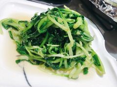 清炒鸡毛菜-19号私房菜(云南路店)