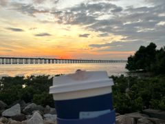 -宝安西湾红树林湿地公园