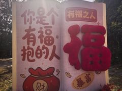 -西苑公园