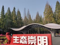 -东平国家森林公园
