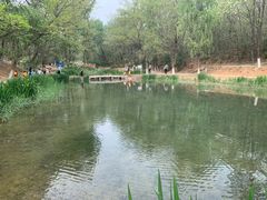 -云岗森林公园