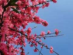 -苏州上方山国家森林公园