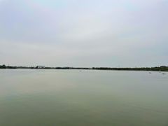 -武清南湖绿博园