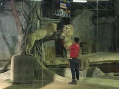 -清迈夜间动物园