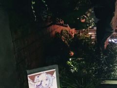 -more than meow吴止猫主题餐厅(承德 中船汇店)