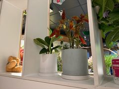 -懒人盐府人家(航天桥店)