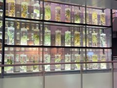 -广东中医药博物馆