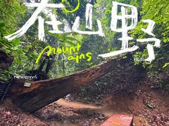 -西双版纳原始森林公园