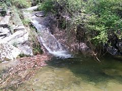 -王顺山国家森林公园