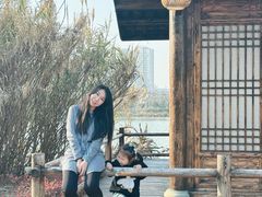 -三垟湿地