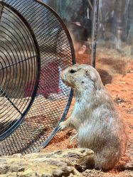 -Zoolung Zoolung动物主题公园(海信广场店)