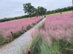 -汉长安城未央宫国家考古遗址公园