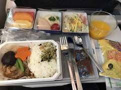 -全日本空输株式会社(上海办事处)