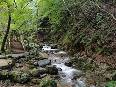 -本溪汤沟绿石谷森林公园