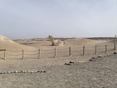 -哈密雅丹大海道景区