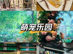 -谷咖啡·鲜花绿植花园餐厅