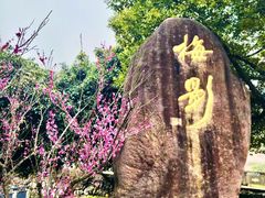 -杭州湾海上花田景区