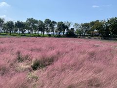 -蛇蟠岛