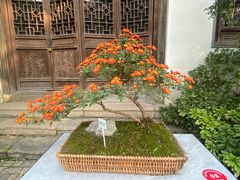 -惠山古镇·寄畅园