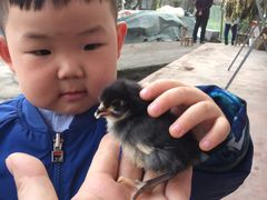 -湖南东洞庭湖国家级自然保护区