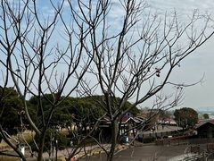 -新木器时代餐厅(太湖新天地店)