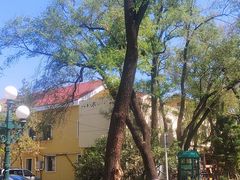 -俄罗斯风情小镇